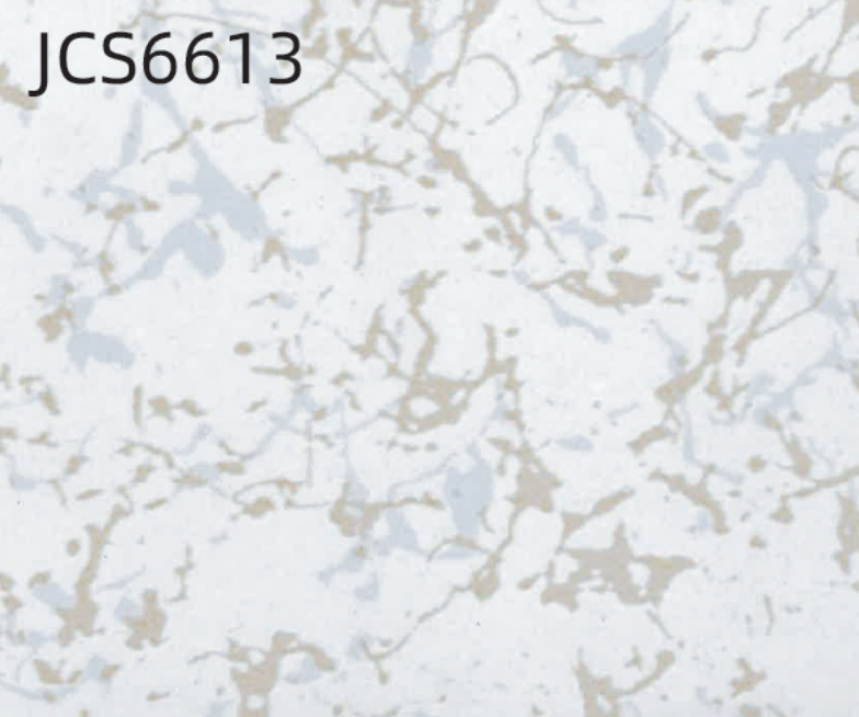 JCS6613